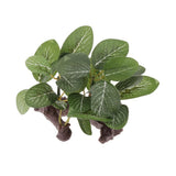 Max Resin Artifical Water Grass Plant For Reptile or Aquarium Tank Green Type 1