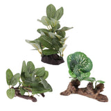 Max Resin Artifical Water Grass Plant For Reptile or Aquarium Tank Green Type 1