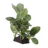 Max Resin Artifical Water Grass Plant For Reptile or Aquarium Tank Green Type 2