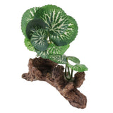 Max Resin Artifical Water Grass Plant For Reptile or Aquarium Tank Green Type 3