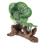 Max Resin Artifical Water Grass Plant For Reptile or Aquarium Tank Green Type 3