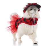 Max Dog Vest Harness w/ Hat Pet Costume Dress For Small Dog Puppy  Red Black-M