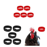 Max 5 Pcs Chicken Collar Anti Crow Rooster Collar For Poultry Chicken Duck Black