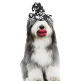 Max Cute Funny Pet Halloween Headwear For Small Dog Puppy Bone Head-Black