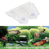 Max Acrylic Suction Cup Fish Tank Divider Sheet Holder Aquarium Accessories