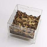 Max Durable Acrylic Pet Reptiles Worm Lizards Breeding Box Clear Tanks M