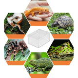 Max Acrylic Pet Reptiles Worm Lizard Breeding Box Clear Cases For Reptile Lizard