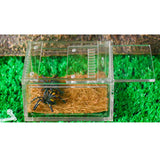 Max Acrylic Pet Reptiles Worm Lizard Breeding Box Clear Cases For Reptile Lizard