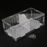 Max Spider Insect Cricket Tank Vivarium Cage Box Acrylic Terrarium Clear Cases