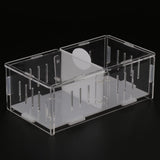 Max Spider Insect Cricket Tank Vivarium Cage Box Acrylic Terrarium Clear Cases
