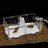 Max Spider Insect Cricket Tank Vivarium Cage Box Acrylic Terrarium Clear Cases