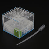 Max Clear Ant Feeding Nursery Box Ant Farm House Castle Insect Terrarium  L