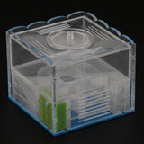 Max Clear Ant Feeding Nursery Box Ant Farm House Castle Insect Terrarium  L