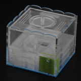 Max Clear Ant Feeding Nursery Box Ant Farm House Castle Insect Terrarium  L