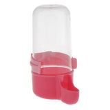 Maxbell Bird Automatic Feeder Water Food Dispenser For Pet Pigeon Parrot  Red