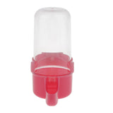 Maxbell Bird Automatic Feeder Water Food Dispenser For Pet Pigeon Parrot  Red
