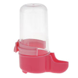 Maxbell Bird Automatic Feeder Water Food Dispenser For Pet Pigeon Parrot  Red