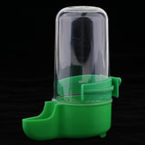 Maxbell Bird Automatic Feeder Water Food Dispenser For Pet Pigeon Parrot  Green
