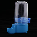 Maxbell Bird Automatic Feeder Water Food Dispenser For Pet Pigeon Parrot  Blue