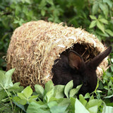 Max Handwoven Straw Bird Cage Hamster Rabbit Squirrel Cage Bed