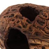 Max Aquarium Fish Tank Ornaments Walnut Shell Reptile Hideaway Resting Cave