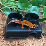 Maxbell Reptiles Food Water Dish Bowl Plastic Feeding Bowl