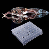 Maxbell Plastic Aquarium Reptile Basking Platform Turtle Climbing Eating Terrace