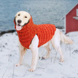 Max Cute Design Pet Dog Puppy Winter Warm Coat Pet Comfort Jacket Orange L