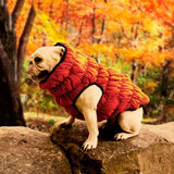 Max Cute Design Pet Dog Puppy Winter Warm Coat Pet Comfort Jacket Orange L