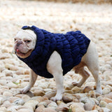 Max Cute Design Pet Dog Puppy Winter Warm Coat Pet Comfort Jacket Light Green L