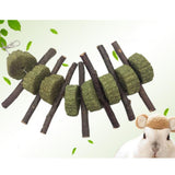 Max Bunny Chew Toys for Teeth, Organic Apple Wood Molar Sticks