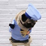 Maxbell Novelty Creative Jigong Dog Costume Holiday Halloween Party Dress Up Clothes M
