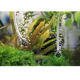 Maxbell Plastic Solar Powered USB Rechargeable Aquarium Fish Tank Oxygen Pumps