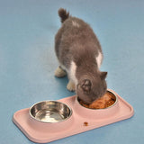 Max Stainless Steel Pet Cat Food Water Feeding Double Bowl with Plastic Mat Set Pink