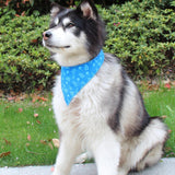 Max Dog Cat  Scarf Decorative Saliva Towel For Small Medium Dog Cat Blue-S