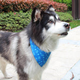 Max Dog Cat  Scarf Decorative Saliva Towel For Small Medium Dog Cat Blue-S