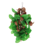 Max Birds Parrot Nuts Chew Toys For Small Medium Large Birds Multi-Nuts