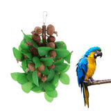 Max Birds Parrot Nuts Chew Toys For Small Medium Large Birds Multi-Nuts