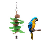 Max Birds Parrot Nuts Chew Toys For Small Medium Large Birds Single Strings Nuts