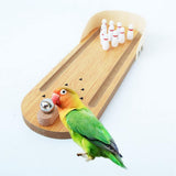 Max Bird Cage Educational Training Toy Device for Parrot Budgie Conure Cockatoo