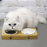 Max Practical Pet Water Food Dish Bowl For Cat Dog