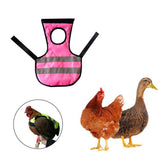 Maxbell Pet Reflective Vest Chicken Poultry Hen Saddle For Poultry Chicken Rose Red