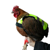 Maxbell Pet Reflective Vest Chicken Poultry Hen Saddle For Poultry Chicken Yellow