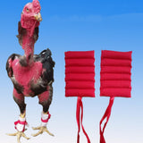 Maxbell Backyard Cockfighting Sandbag Cockfighting Training Tools Random 2-2.5KG