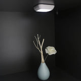 Maxbell LED Infrared Night Motion Sensor Light Closet Stair Cabinet Lamp Clear White