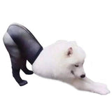 Maxbell Pets Dog Costumes Funny Socks Black Mesh Socking Stockings f/Middle Big Dogs
