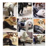 Maxbell Pets Dog Costumes Funny Socks Black Mesh Socking Stockings f/Middle Big Dogs
