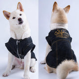Maxbell Cute Small Dog Warm Coat Puppy Clothing New Year Outfit Apparels Black-L