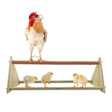 Maxbell Parrot Bird Wooden Perch Stand Bird Grinding Claws Rod For Birds Chicken