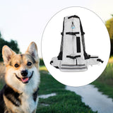 Maxbell Dog Carrier Breathable Corgi Carrying Bag Hiking Travel Pet Backpacks Grey